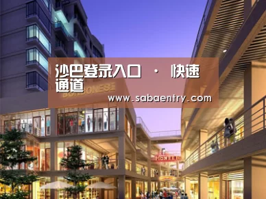 案例展示一(图1)