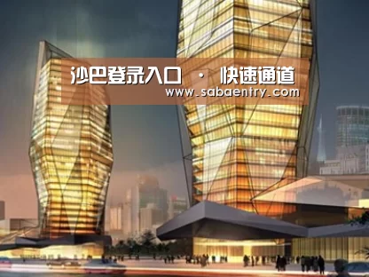 案例展示三