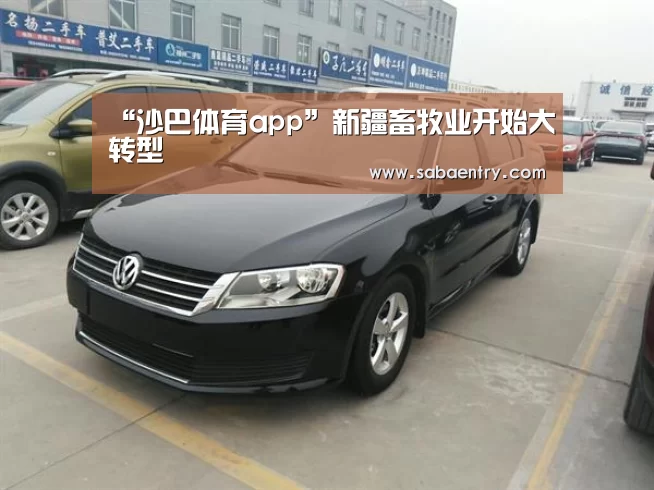 “沙巴体育app”新疆畜牧业开始大转型(图1) 沙巴体育平台