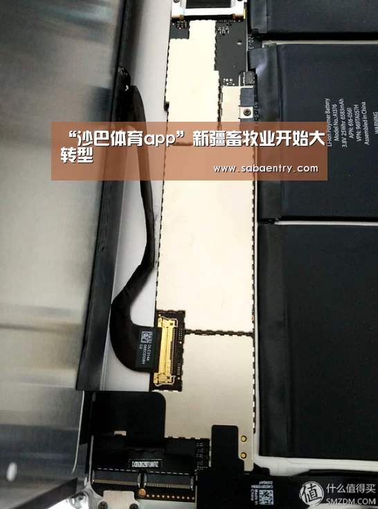 “沙巴体育app”新疆畜牧业开始大转型(图4) 沙巴体育平台