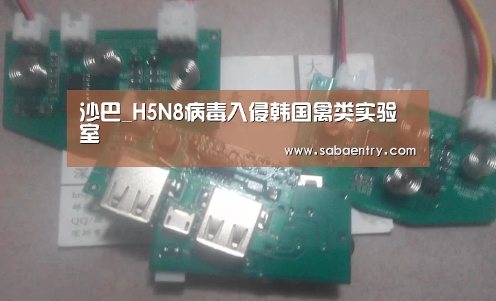 沙巴_H5N8病毒入侵韩国禽类实验室(图1) 沙巴