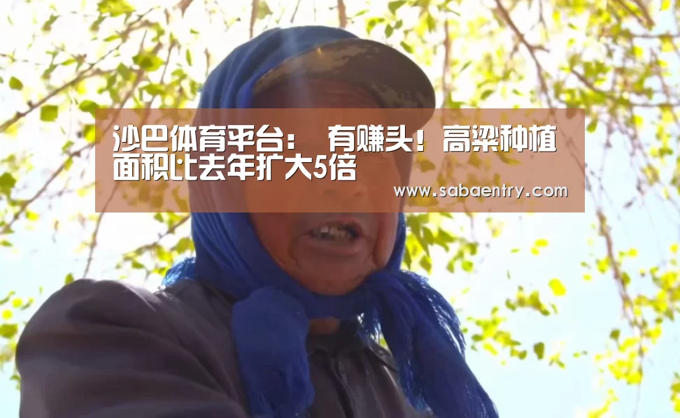 沙巴体育平台