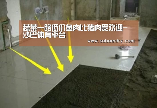 沙巴体育app