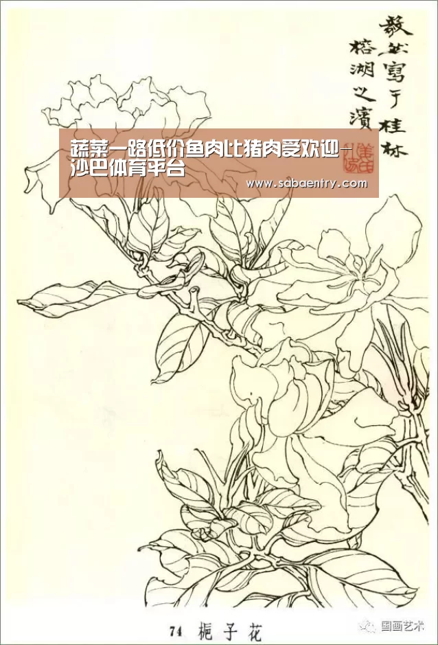 沙巴