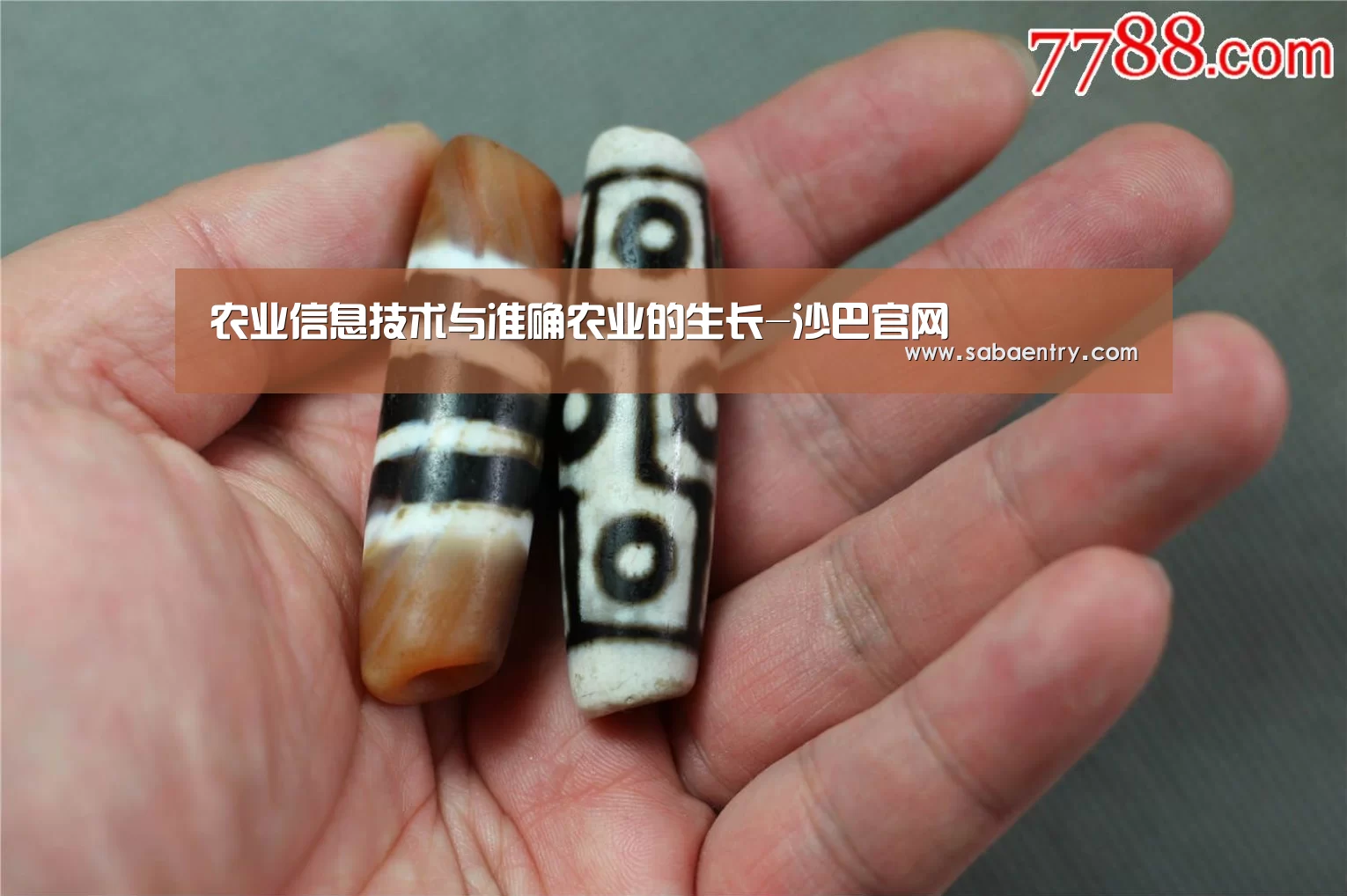 沙巴体育app
