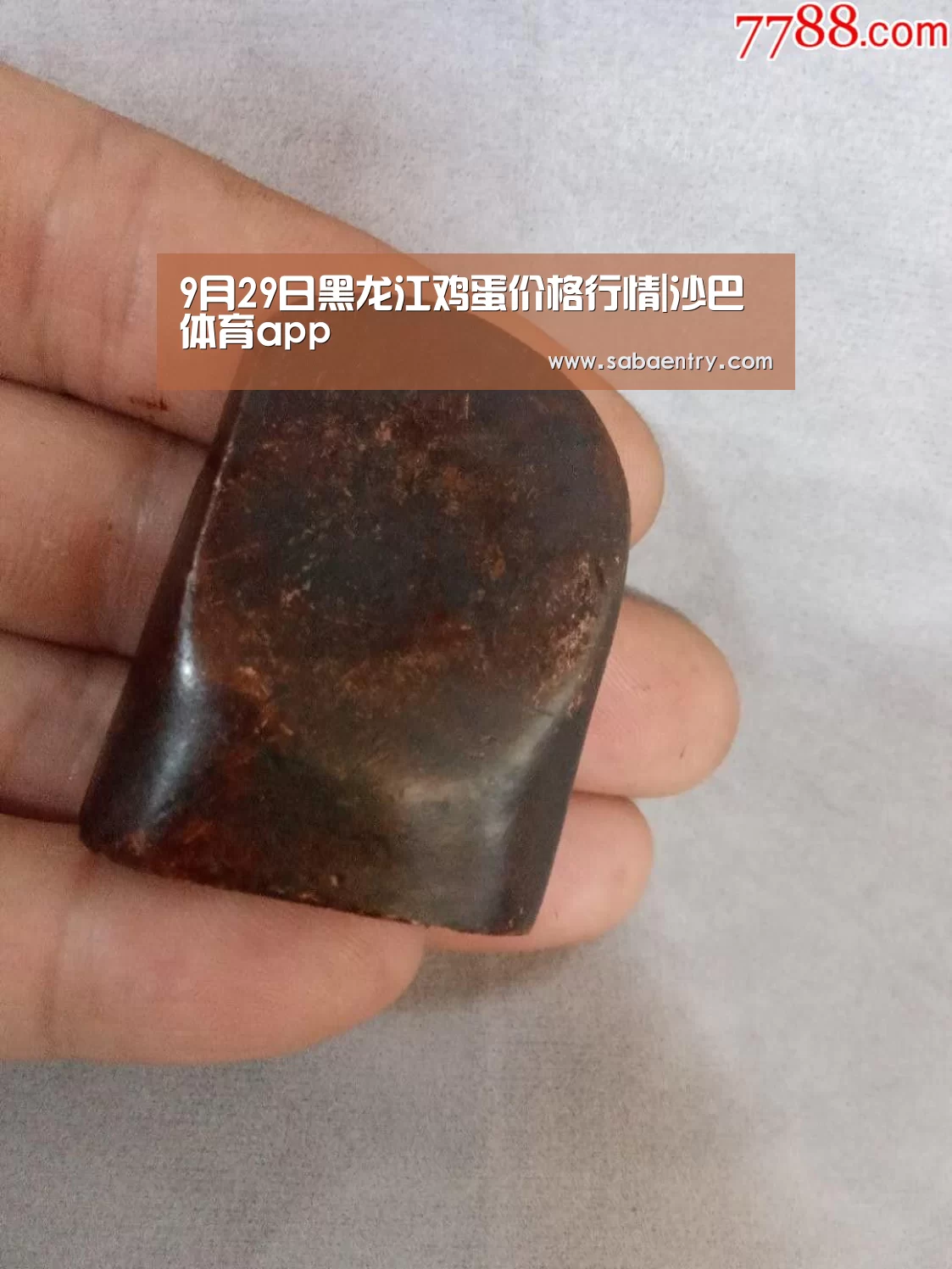 9月29日黑龙江鸡蛋价格行情|沙巴体育app(图3) 沙巴官网