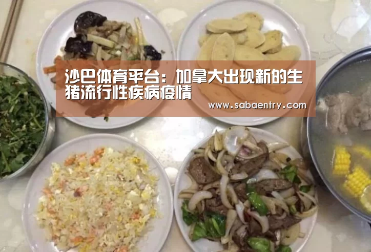 沙巴体育平台:加拿大出现新的生猪流行性疾病疫情(图3) 沙巴体育平台