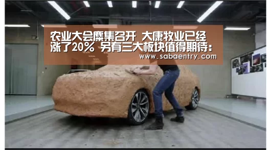 农业大会麋集召开 大康牧业已经涨了20% 另有三大板块值得期待:沙巴体育平台(图2) 沙巴体育app