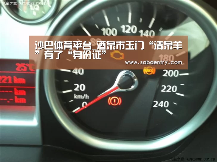 沙巴体育平台