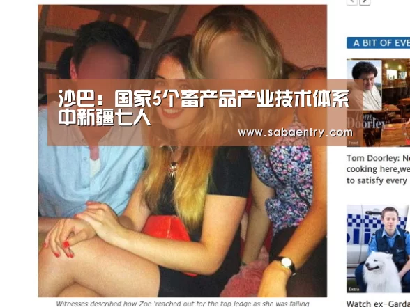 沙巴：国家5个畜产品产业技术体系中新疆七人