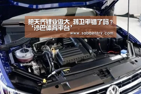 
把天齐锂业做大 蒋卫平错了吗？‘沙巴体育平台’
