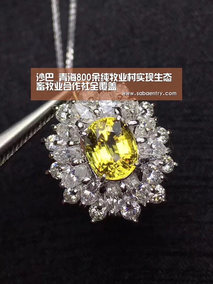 沙巴_青海800余纯牧业村实现生态畜牧业合作社全覆盖(图2) 沙巴官网