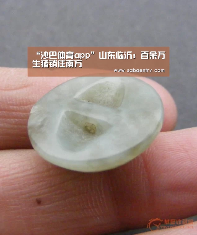 “沙巴体育app”山东临沂:百余万生猪销往南方(图3) 沙巴官网